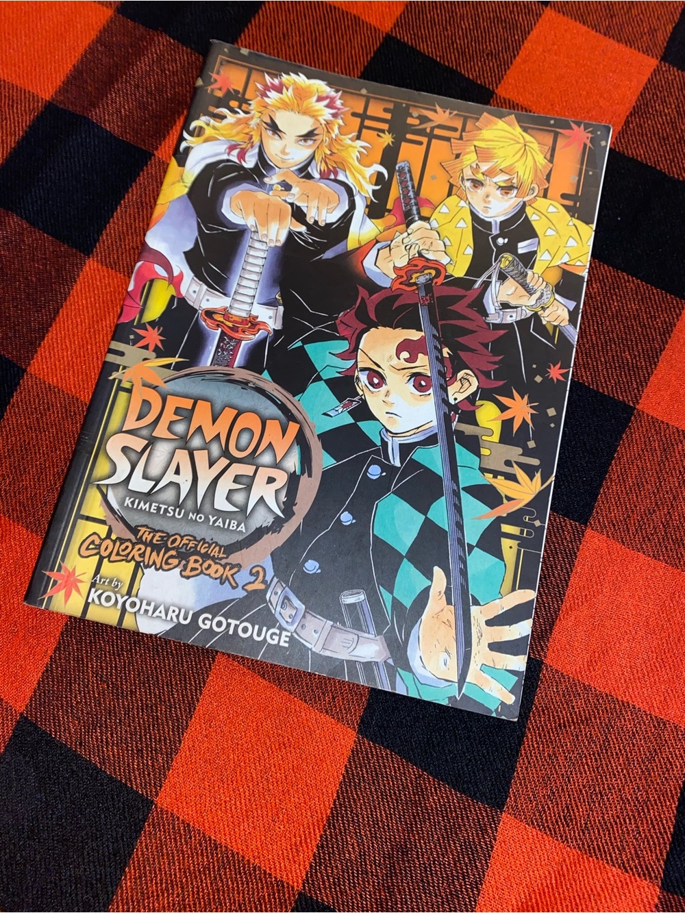 Official Coloring Book 2 - Black & Multicolor Cover 25 pages front and back